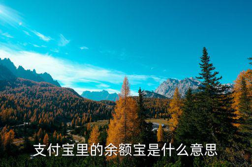 支付寶余額寶是什么，支付寶里的余額寶是什么意思