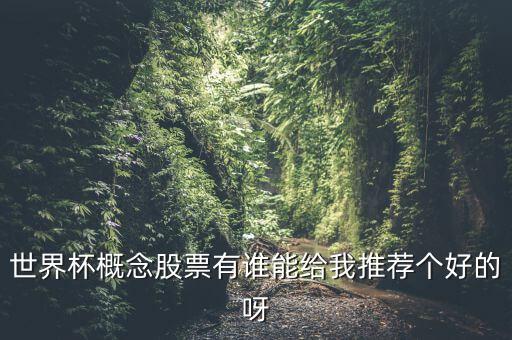 世界杯什么股票好，世界杯概念股票有誰(shuí)能給我推薦個(gè)好的呀