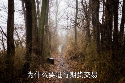 為什么國內(nèi)期貨，為什么要做期貨投資