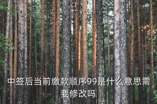 繳款順序99是什么意思，99是什么意思
