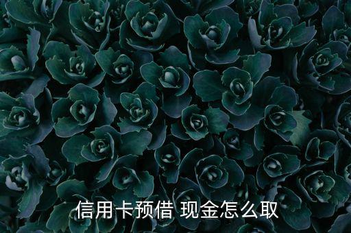 信用卡怎么取現金
