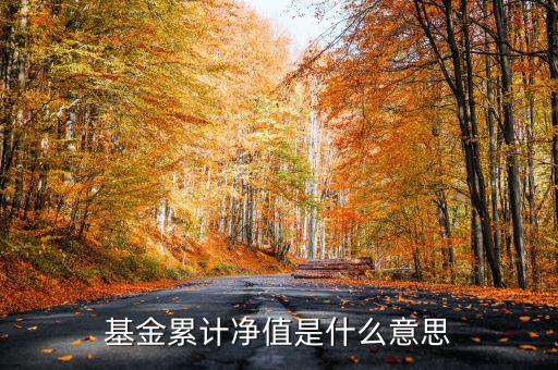 基金累計凈值是什么意思，基金凈值累計凈值各指什么