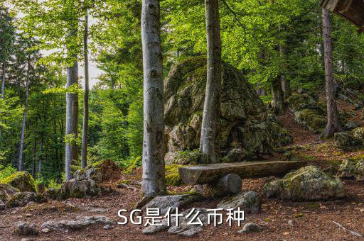 sgd是什么幣種，SG是什么幣種