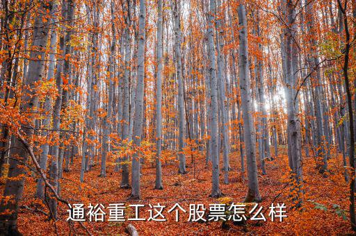 通裕重工是什么板塊，通裕重工這個(gè)股票怎么樣