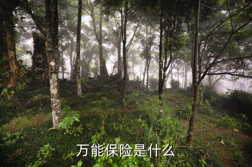 萬能壽險(xiǎn)是什么意思，萬能保險(xiǎn)是什么