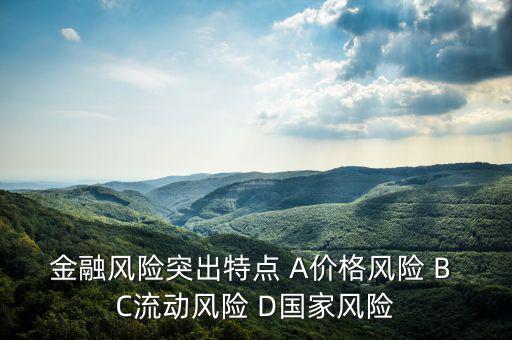 金融風(fēng)險有什么特征，試述國際金融風(fēng)險的特征
