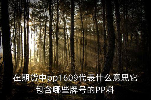大商所的塑料指數是什么意思，請問在同花順期貨軟件中的塑料指數I888反而我在大商所卻找不到了