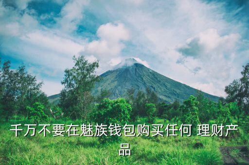 千萬不要在魅族錢包購買任何 理財產品