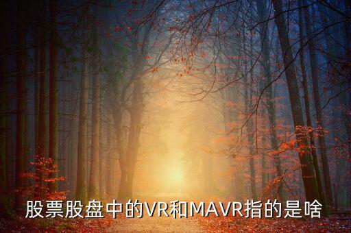 vr股是什么，股票股盤中的VR和MAVR指的是啥