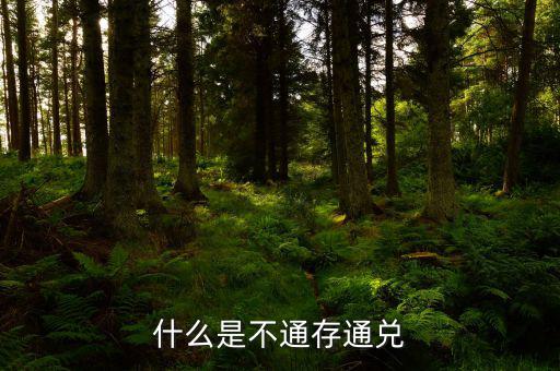 不通存通兌是什么意思，什么是不通存通兌