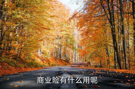 交商業(yè)保險有什么用，商業(yè)險有什么用呢