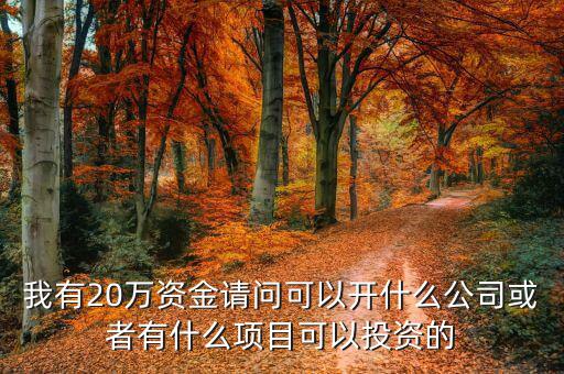 我有20萬(wàn)資金請(qǐng)問(wèn)可以開(kāi)什么公司或者有什么項(xiàng)目可以投資的