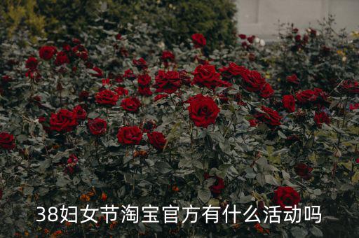 三八婦女節(jié)各個電商有什么活動，淘寶店在三八節(jié)可以搞些什么活動