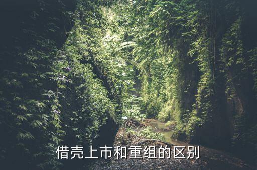 什么是借殼重組，下殺就買怕什么借殼重組什么概念