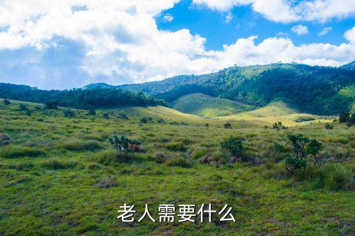 老百姓需要什么，老人需要什么