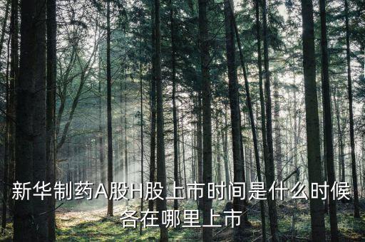 新華醫(yī)藥是什么股票，600587新華醫(yī)療2560買的最后1個(gè)交易日終究解套并小贏了請(qǐng)問(wèn)接下來(lái)