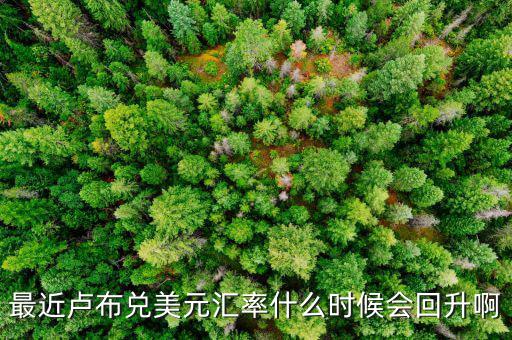 盧布什么時(shí)候能回升，最近盧布兌美元匯率什么時(shí)候會(huì)回升啊