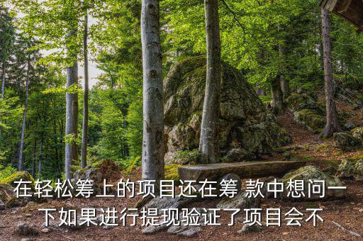 輕松籌提現(xiàn)有什么審核，輕松籌審核條件