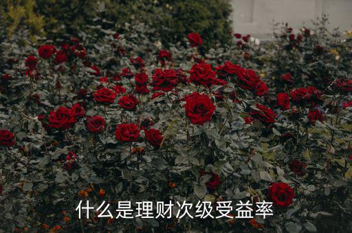 次級收益是什么，什么是理財次級受益率