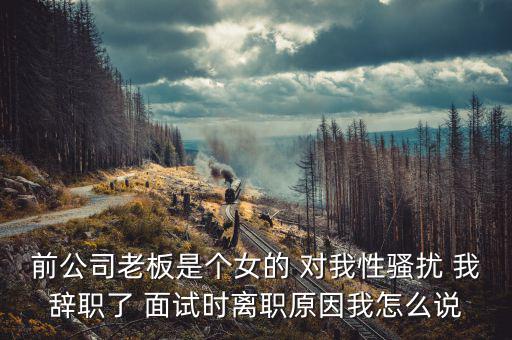 李維金為什么辭職，前公司老板是個女的 對我性騷擾 我辭職了 面試時離職原因我怎么說