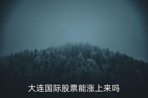 大連國際什么時候漲，大連國際股票能漲上來嗎