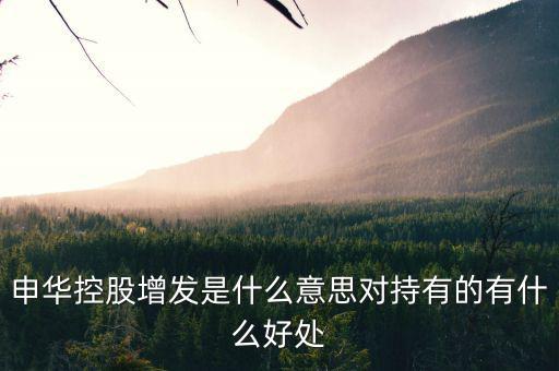 申華控股是什么板塊，申華控股怎么樣