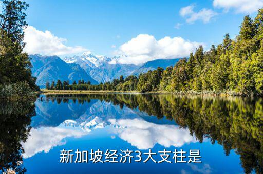 新加坡經濟靠什么，分析新加坡經濟高度發(fā)達的內因和外因