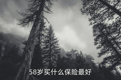 58歲女性做什么保險(xiǎn)，58歲女性可以辦哪些保險(xiǎn)啊