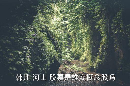 韓建河山股票怎么樣,愛奇查:韓建河山無(wú)國(guó)家控股
