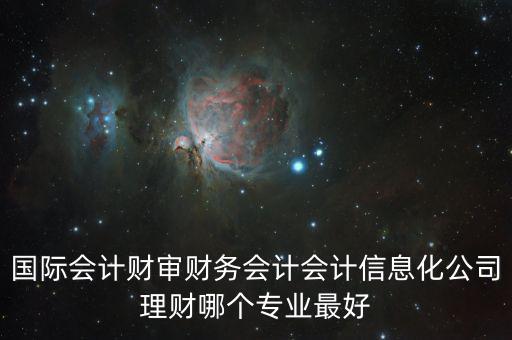 財(cái)審會(huì)是什么，國(guó)際會(huì)計(jì)財(cái)審財(cái)務(wù)會(huì)計(jì)會(huì)計(jì)信息化公司理財(cái)哪個(gè)專(zhuān)業(yè)最好