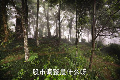 股市調(diào)整是什么意思，經(jīng)常有聽到股票調(diào)整是什么意思啊
