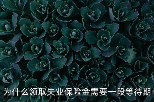 失業(yè)保險為什么應(yīng)設(shè)等待期限，為什么領(lǐng)取失業(yè)保險金需要一段等待期