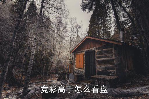 高手看盤看什么，想問一些那些股林高手們你們一般是怎么選擇買股票的主要看什么