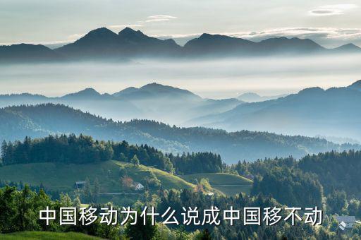 中國(guó)移動(dòng)為什么不轉(zhuǎn)型，中國(guó)移動(dòng)n1屏幕怎么不旋轉(zhuǎn)