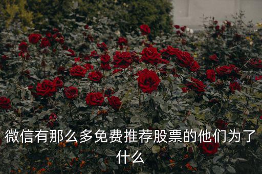 免費股票為什么，微信有那么多免費推薦股票的他們?yōu)榱耸裁?/></a></span><span id=