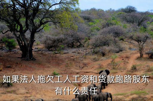 法人跑路屬于什么罪，申請勞動仲裁被告用人單位法人代表逃跑了怎么辦他將背負什么罪
