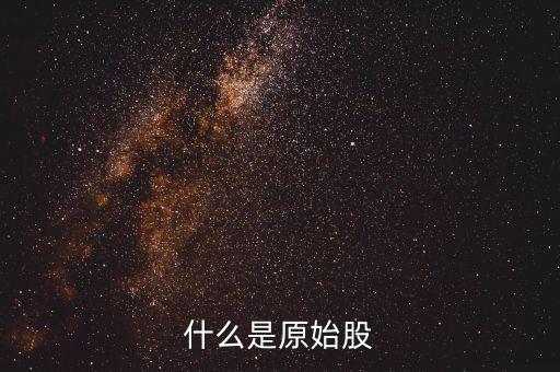 公司原始股是什么，什么是原始股怎樣買原始股