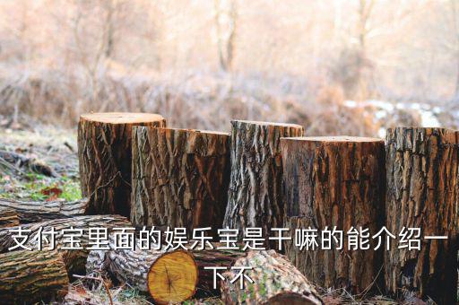 娛樂寶有什么意義，支付寶里面的娛樂寶是干嘛的能介紹一下不