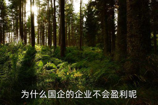 為什么國(guó)企只虧不盈利，除了政策性和歷史性原因外大中型國(guó)企虧損的主要原因有哪些