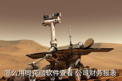 怎么用同花順軟件查看 公司財(cái)務(wù)報表