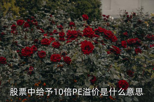 股票10倍市盈率什么意思，買10倍市盈率上下的大盤股什么意思