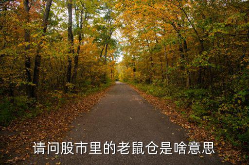 股市老鼠倉什么意思，股票 老鼠倉是什么意思