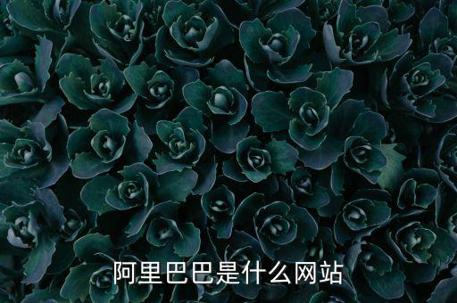 阿里巴巴是什么網(wǎng)站，阿里巴巴是什么網(wǎng)站