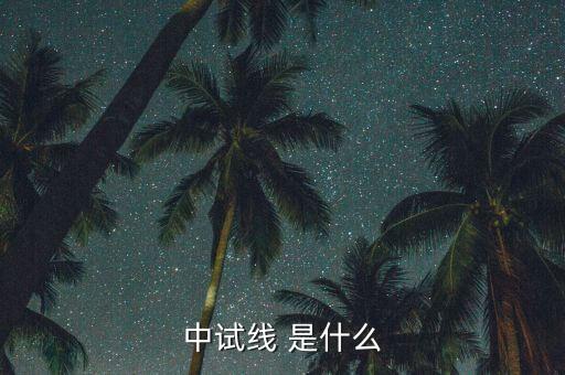 中試線是什么意思，中試線 是什么