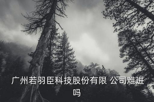 諾羽臣廣州公司怎么樣,只要你有能力肯定會(huì)被賞識