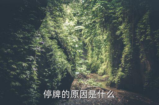 齊合天地為什么停牌，誰(shuí)能告訴我這是怎么回事是停牌了嗎