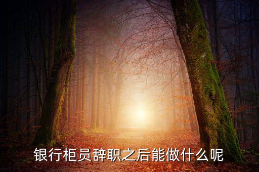 銀行辭職后做什么，銀行柜員辭職之后能做什么呢