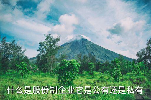 什么是單一鉬鐵生產(chǎn)企業(yè)，誰(shuí)了解北京鉬都國(guó)際投資公司
