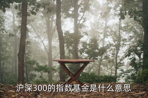 基金滬深300什么，滬深300的指數(shù)基金是什么意思