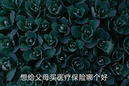 給父母買什么醫(yī)療保險好，想給父母買醫(yī)療保險哪個好